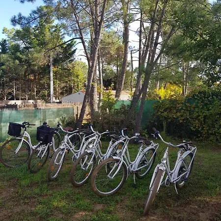 Les Embruns * La Tranche-sur-Mer