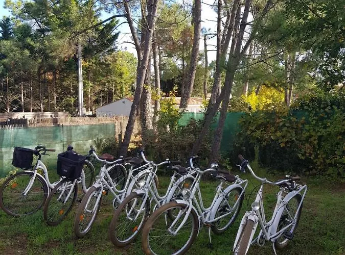 Les Embruns * La Tranche-sur-Mer